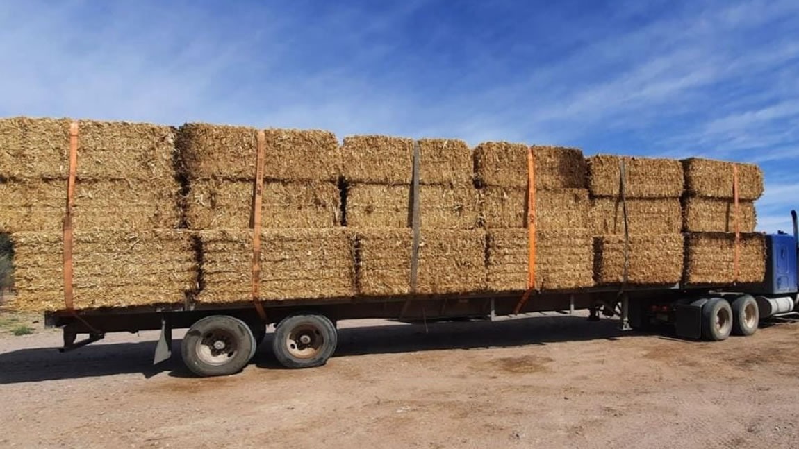 Entregará Desarrollo Rural pacas de rastrojo a ganaderos de Camargo como parte del programa estatal de atención a la sequía