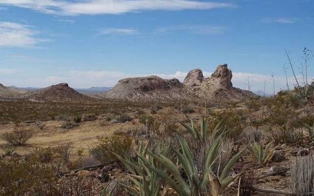 Según proyección del PEF 2025, darán un peso por hectárea a santuarios naturales de Chihuahua