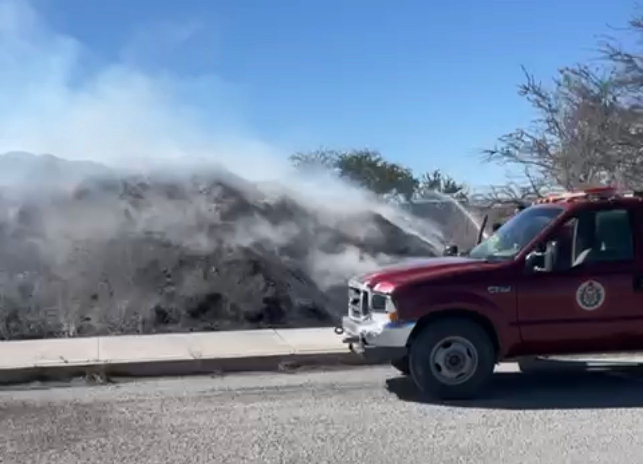 Atiende Bomberos llamados de incendios en cáscara de nuez; exhortan a productores a tomar medidas preventivas