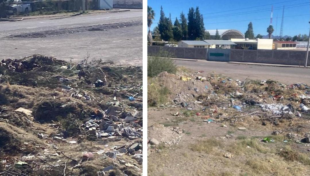 “Tenemos un problema grave con basura en lotes baldíos; necesario aplicar sanciones correspondientes”: Servicios Municipales