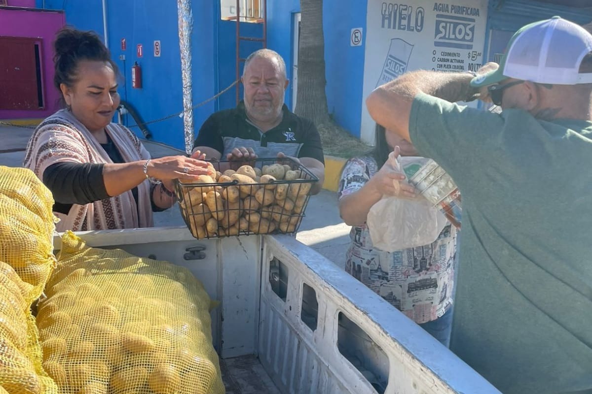 Alcaldesa Norma Pavía entrega 50 toneladas de papa a familias de San Francisco de Conchos