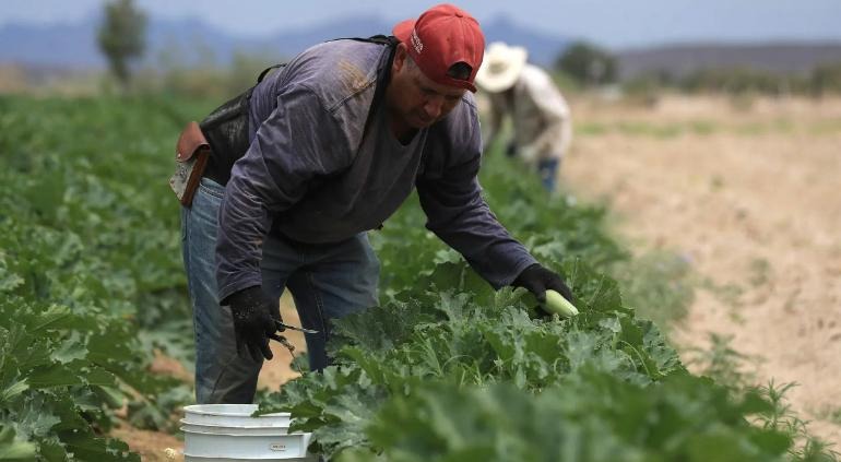 Vivirá Chihuahua caída de producción en 2025 por sequía: agropecuarios