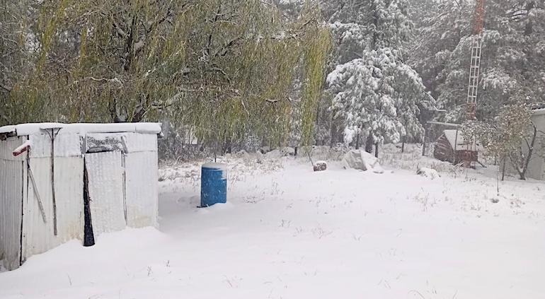 Nevó en 8 municipios; Basaseachi hoy a -7.3°C