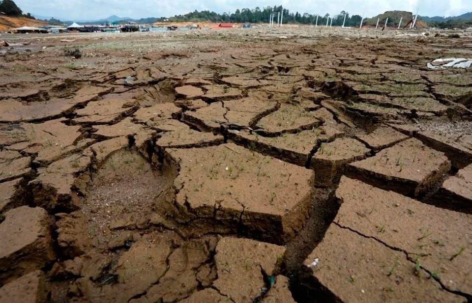 Sufrirán productores otro año de sequía prolongada