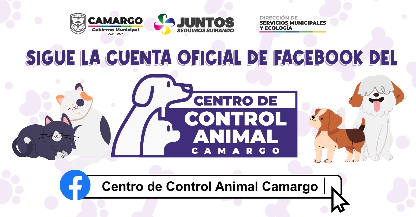 Esta es la nueva página del Centro de Control Animal de Camargo ¡te invitamos a seguirla!