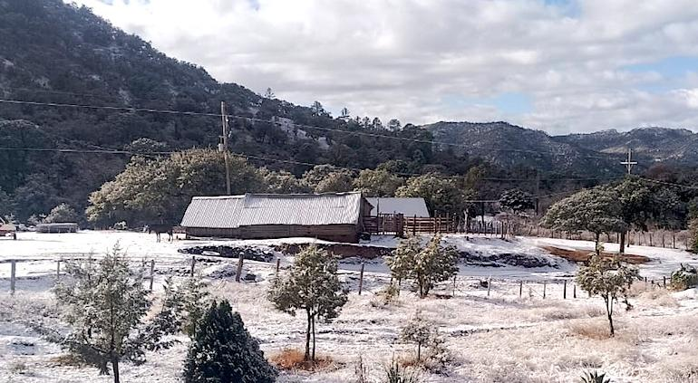 Alertan por nieve en Janos y descenso de temperatura aquí