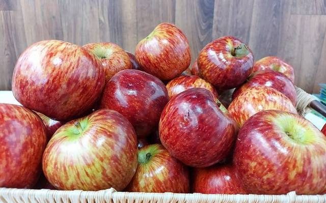 Disminuye 15% la producción de manzana a causa de la sequía y el calor