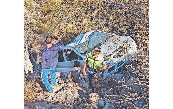 Pierden la vida 175 en carreteras de Chihuahua