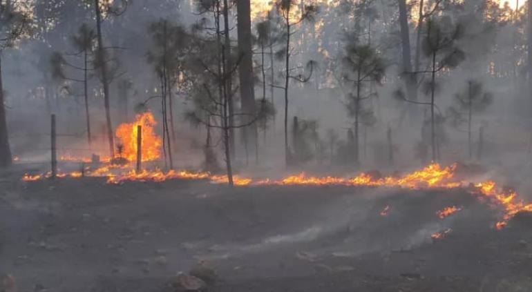 Creció incendio forestal en Moris… se dividió en dos
