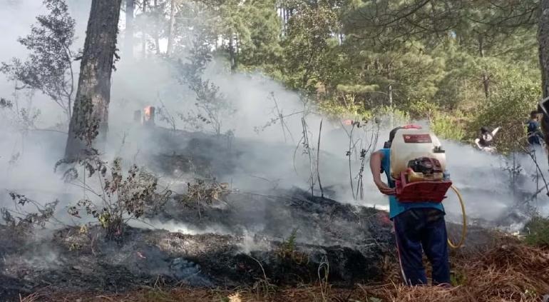 Desplomó avioneta en Jalisco; 7 muertos