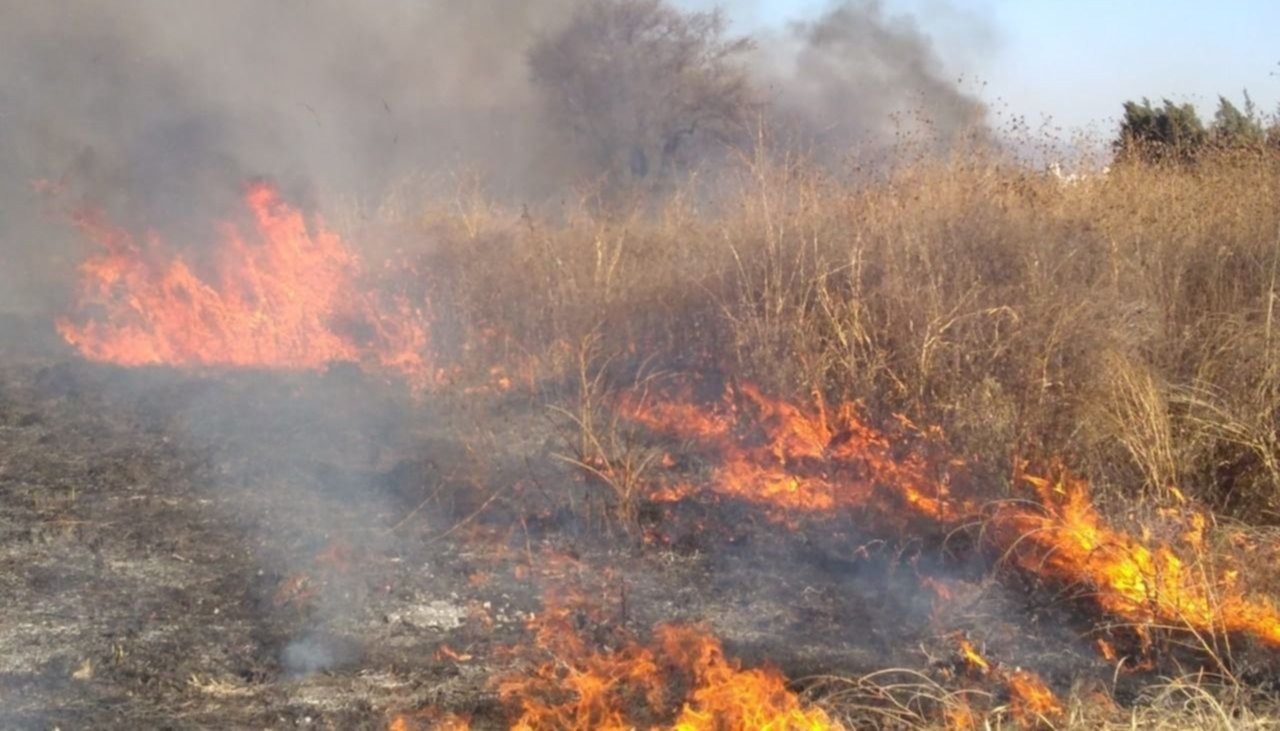 Incendios de pastizales han ido notablemente a la baja en la región; reconoce Protección Civil que hay “más conciencia” por parte de la ciudadanía