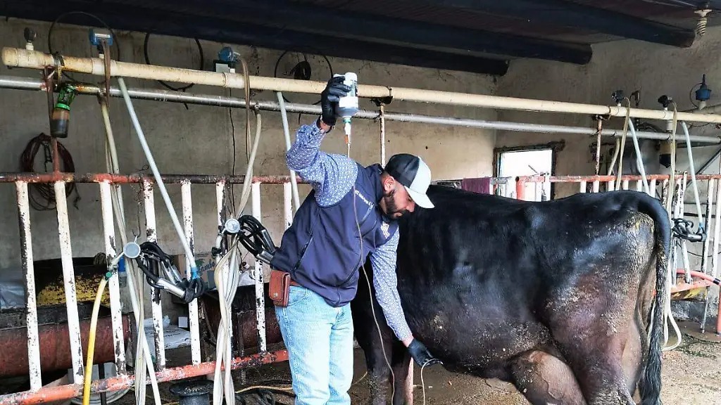 Impartirán pláticas a ganaderos de Meoqui para prevenir la aparición del gusano barrenador