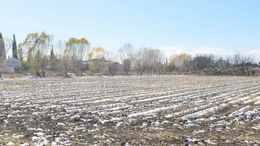 Son necesarias varias tormentas invernales para mitigar la sequía: Especialista