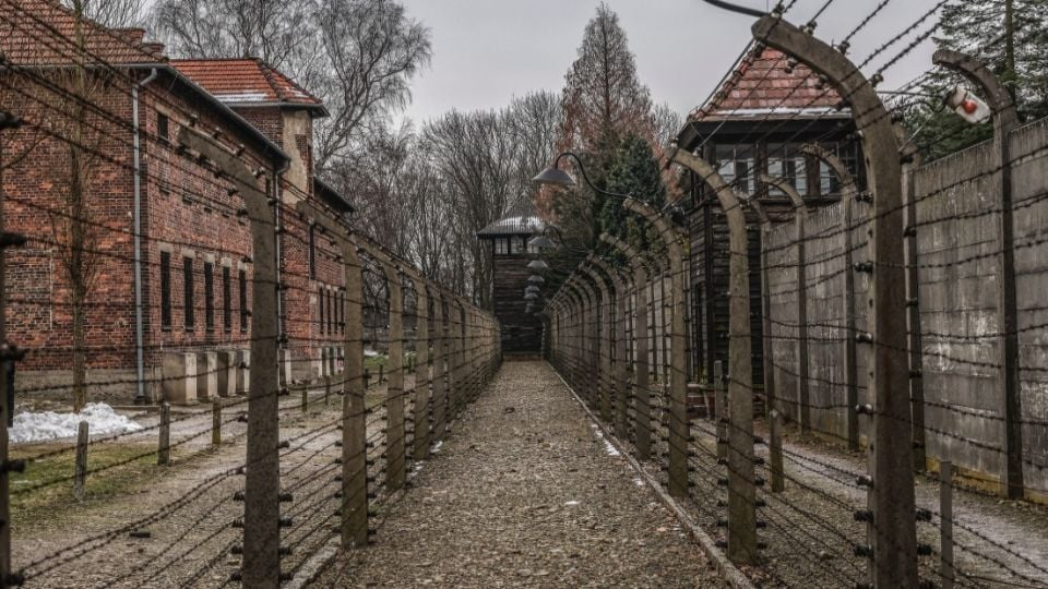 Sobrevivientes de Auschwitz rememoran el horror 80 años después de su liberación; alertan sobre otra guerra ante divisiones de la sociedad moderna