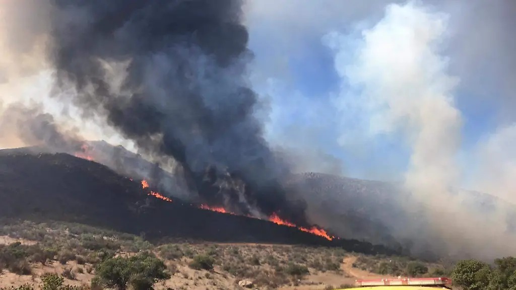 Chihuahua entre los cinco estados con mayor superficie afectada por incendios forestales