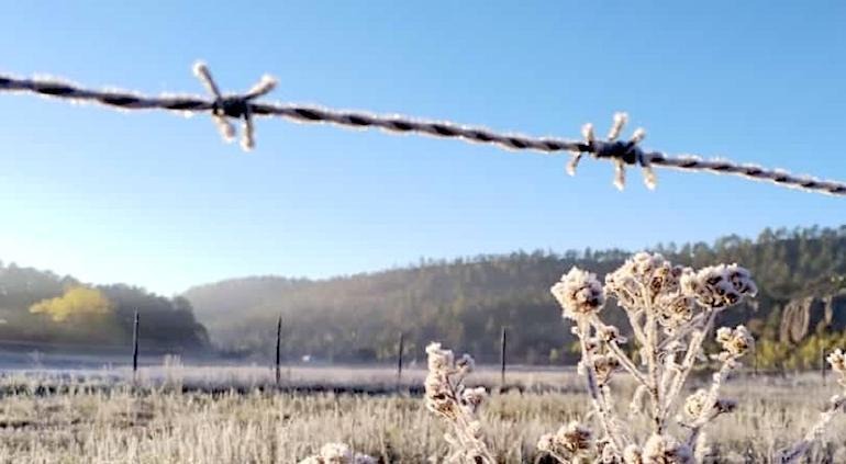 Bajo cero 21 municipios, San Juanito la más baja con -14°C