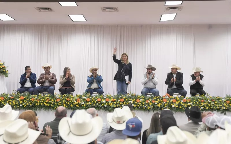 Reanuda Chihuahua exportación de ganado por San Gerónimo