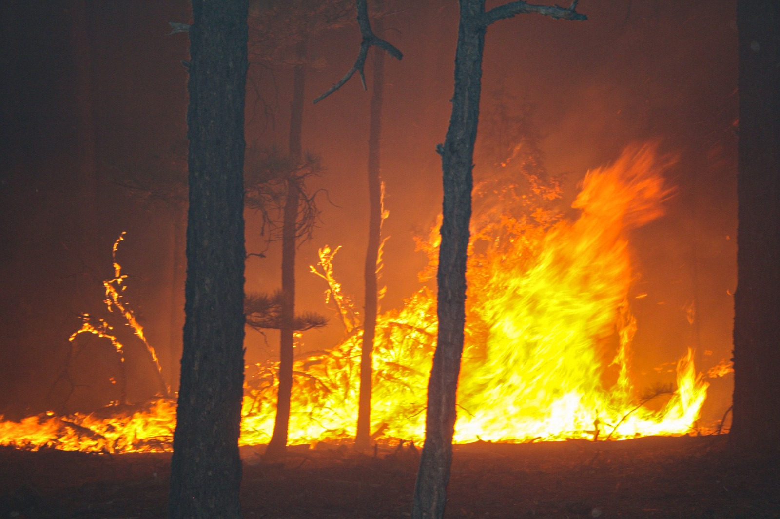 Autoridades estatales y federales acuerdan en Mesa de Seguridad mantener coordinación en combate de incendios forestales