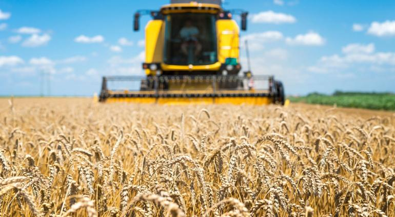 Viene la peor cosecha de granos en 25 años: Mercados Agrícolas