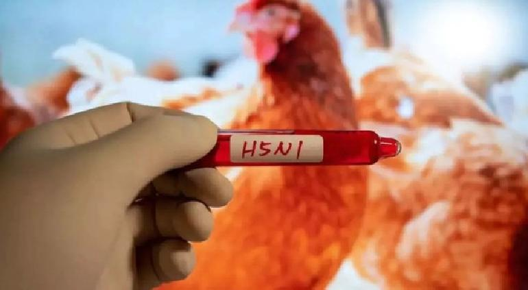 Murió niña con influenza H5N1, primer caso en México