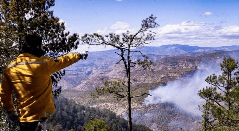 Combaten 20 brigadistas dos incendios forestales en el estado