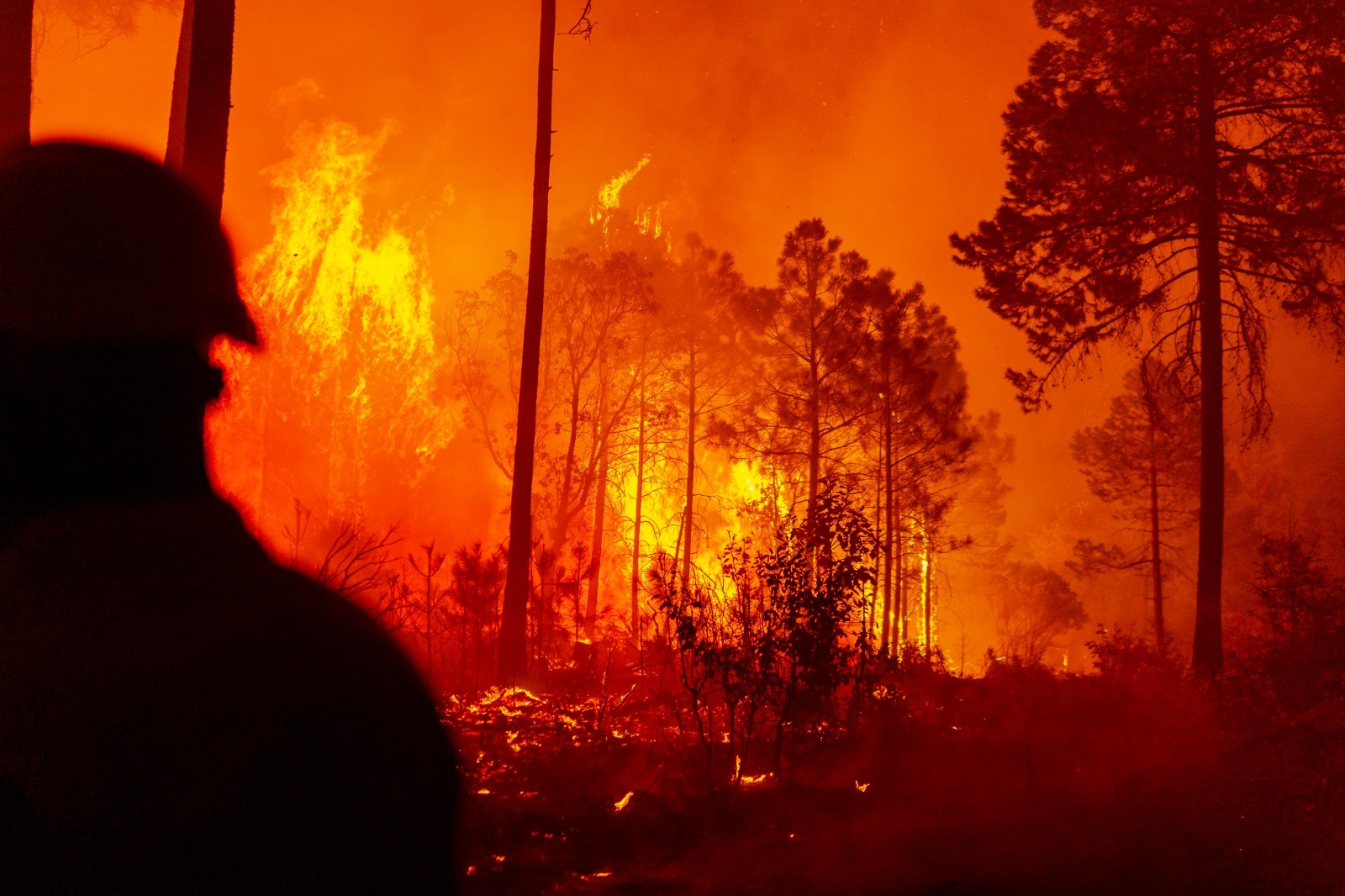 Combaten 30 brigadistas cuatro incendios forestales en zona serrana