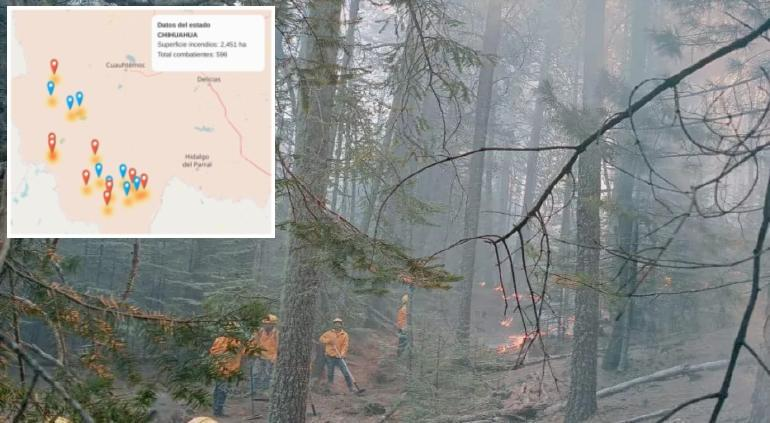 Liquidaron 8 incendios forestales el último día; advierten por vientos