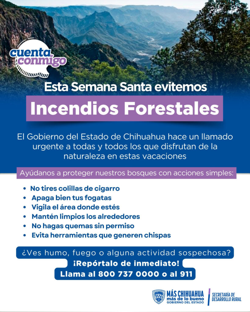 Hacen llamado para prevenir y reportar incendios forestales durante el periodo vacacional de Semana Santa