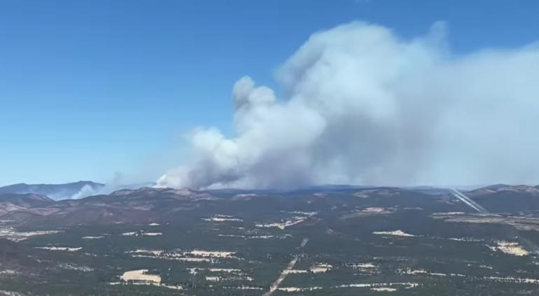 Combaten 192 brigadistas 12 incendios forestales en el estado