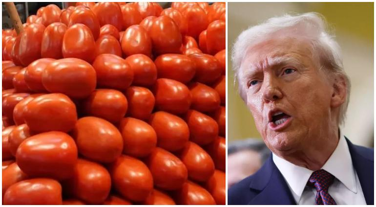 Sólo amenaza, arancel al tomate mexicano: exnegociador del T-MEC
