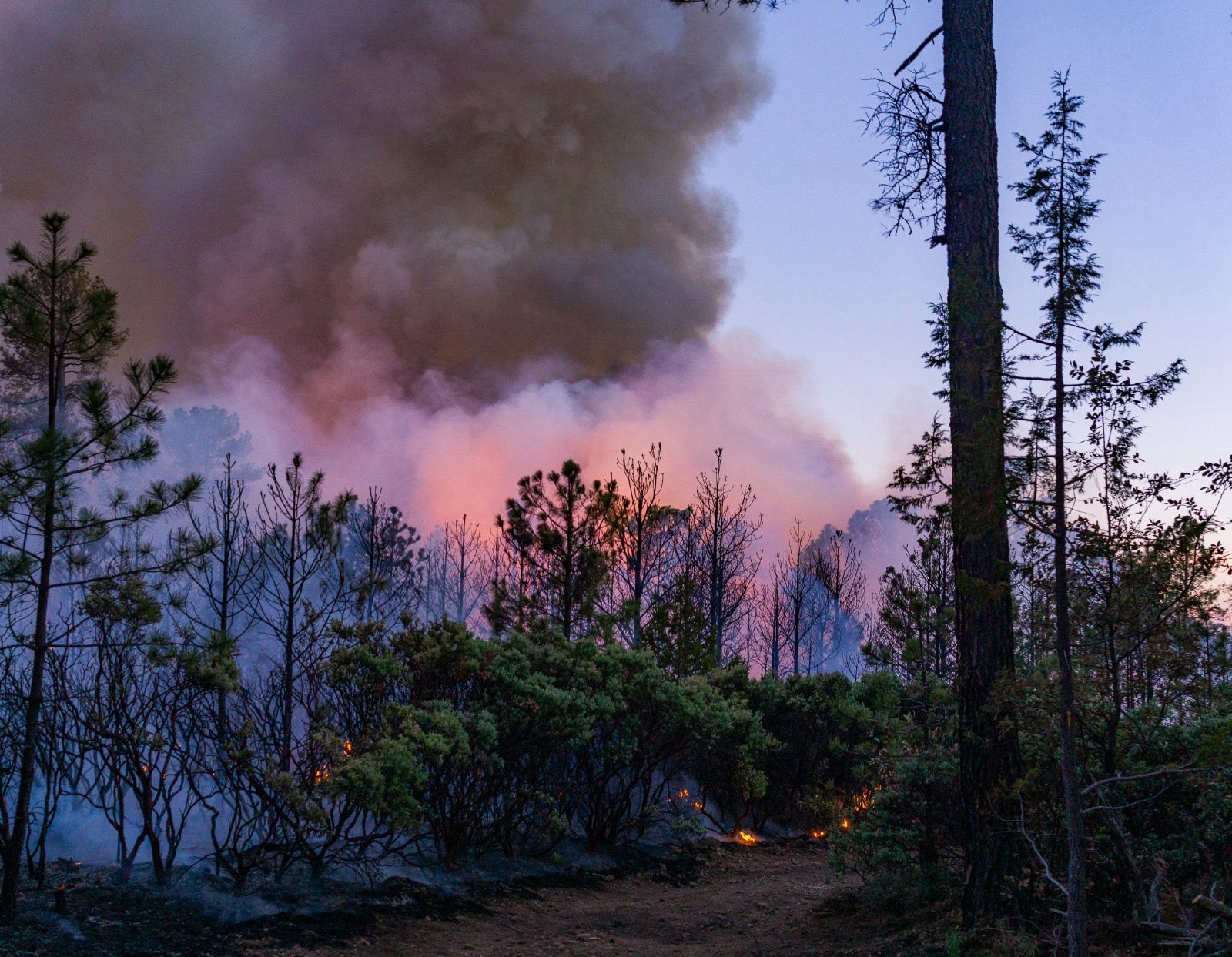 Combaten 262 brigadistas los 13 incendios forestales activos en 9 municipios
