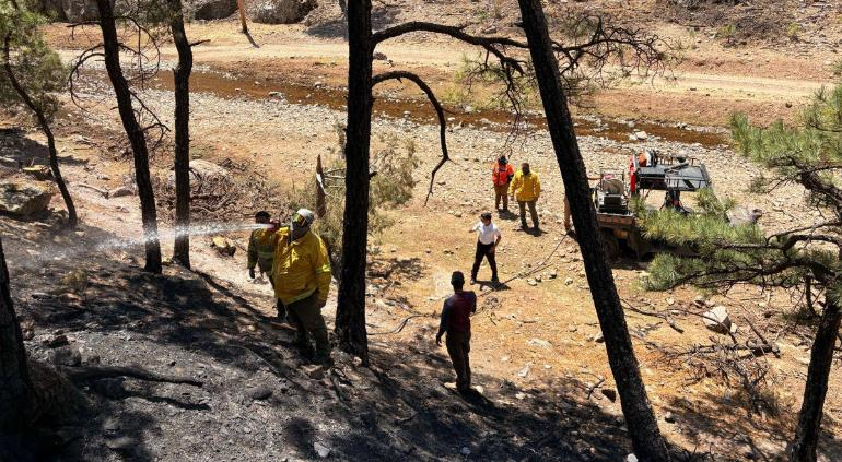 Incendios forestales de Chihuahua: impactan 2 mil 199 hectáreas