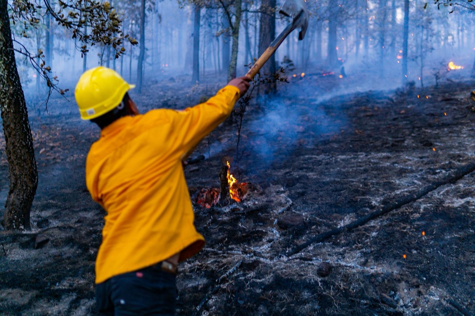 Registran 9 incendios forestales activos en el estado