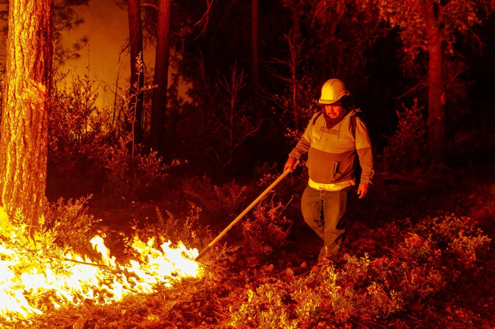 Coordina Secretaría de Desarrollo Rural a más de 200 combatientes para la atención de incendios forestales en el estado
