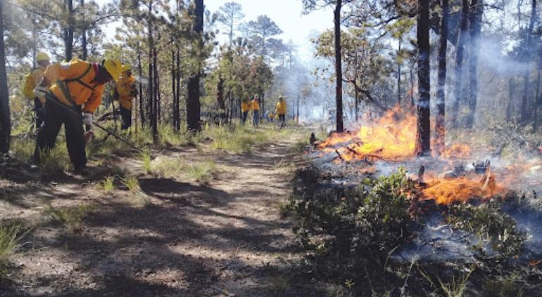 Liquidaron tercio de incendios el domingo en el estado