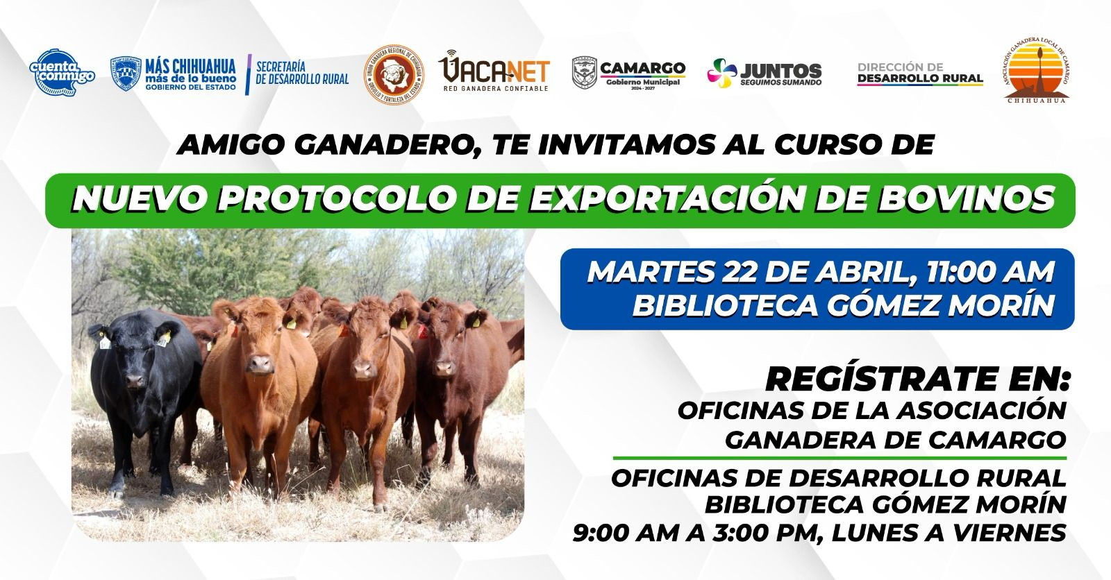 Municipio invita al curso sobre el nuevo protocolo de exportación de bovinos, este martes 22 a las 11:00 AM en la Gómez Morín