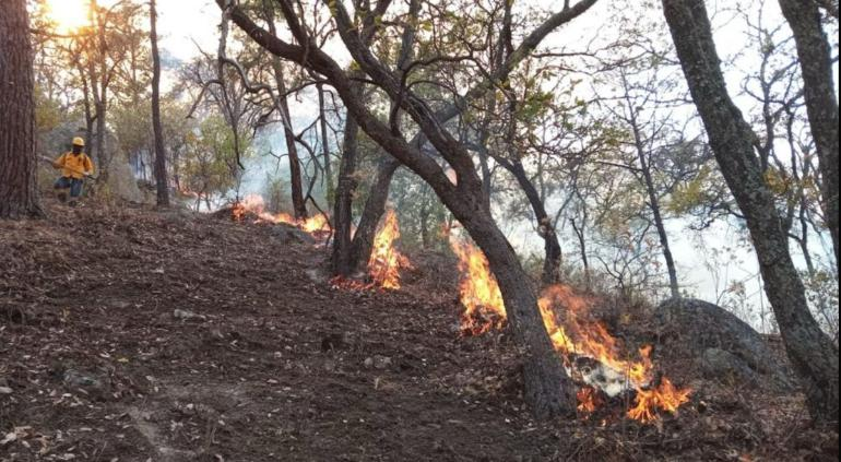 172 combatientes en incendios activos; luchan vs 3,773 ha