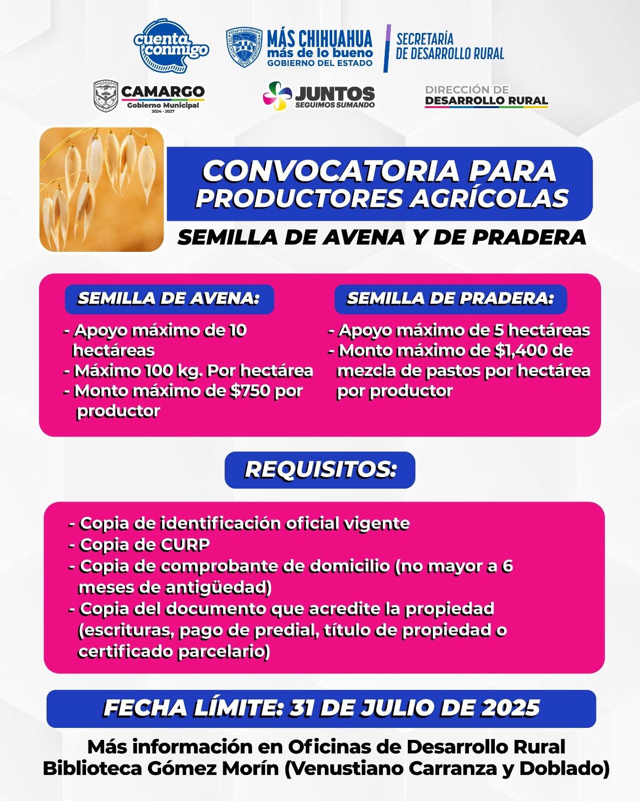 Gobierno municipal invita a participar en convocatoria de semilla de avena y pradera lanzada por gobierno del estado.