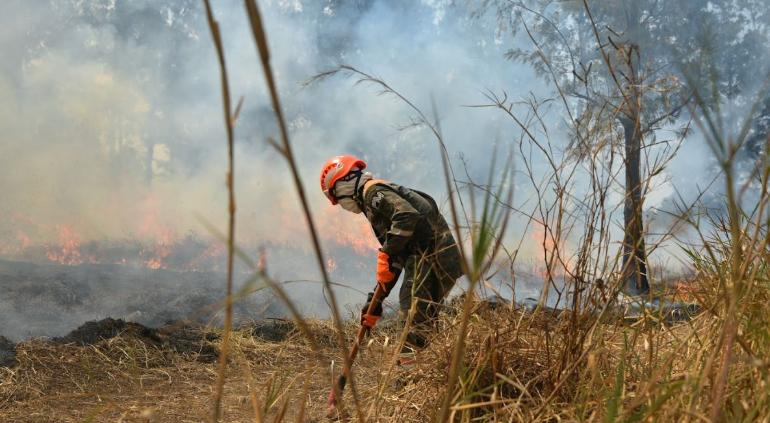Redujeron incendios forestales a tercera parte el último día