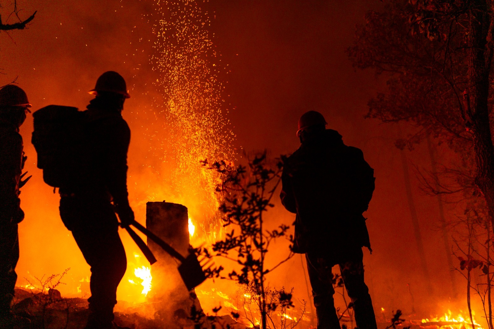 Controlado en un 90 por ciento incendio forestal en Guazapares: SDR