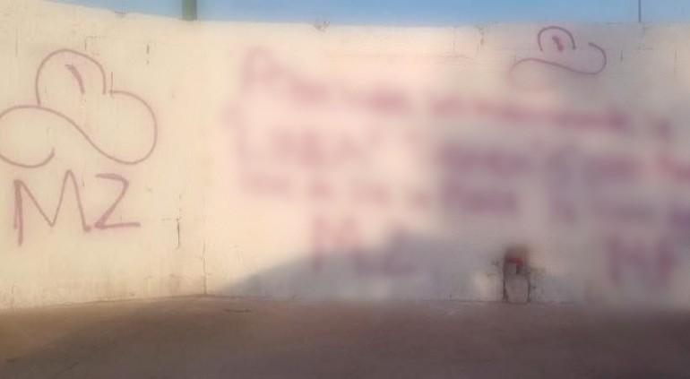 Aparecen narc*pintas de la “mayiza” en Aldama