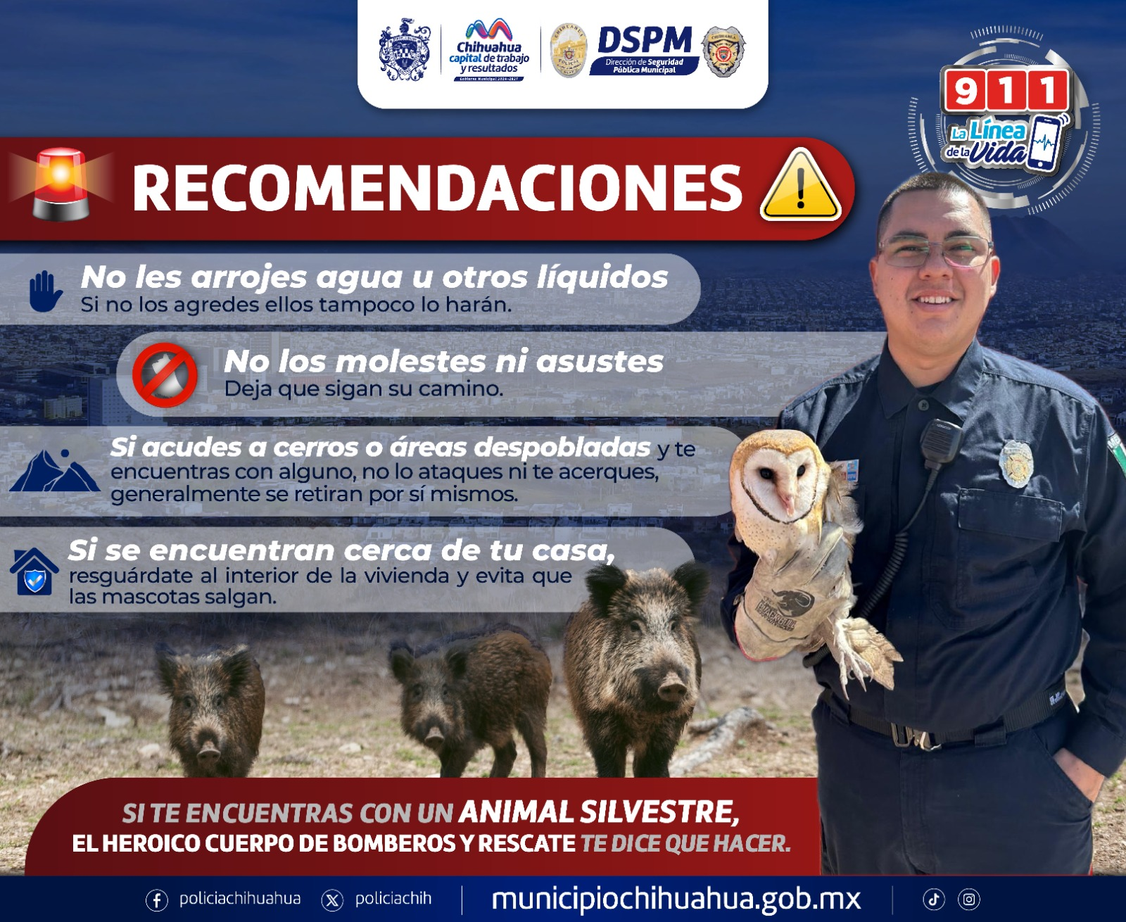 Evita hacer esto si ves serpientes, linces y pecaríes: Bomberos