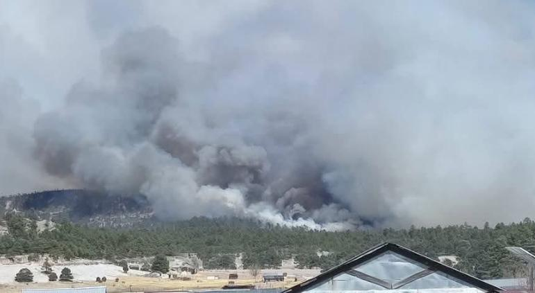 Impulsa aironazo incendios forestales; impactan más de 5 mil hectáreas