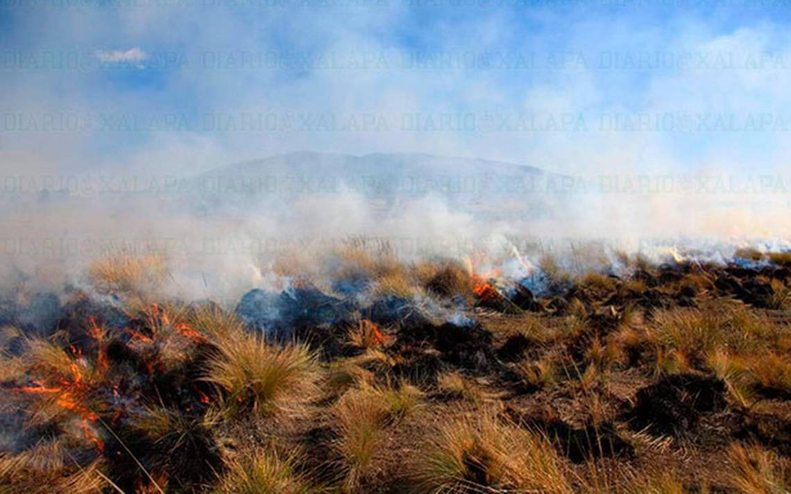 Atienden 10 reportes de incendio en Camargo; advierten sanciones por provocarlos