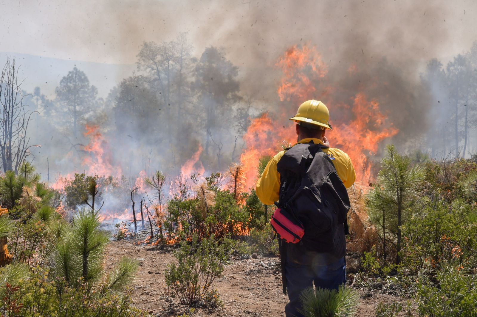 Refuerza Maru Campos acciones contra incendios forestales
