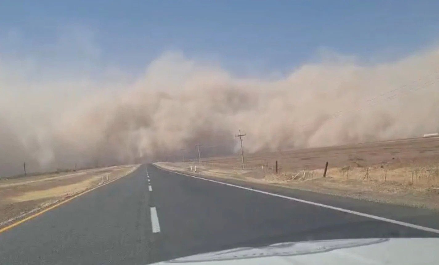 Prevén ráfagas de viento de 65 km/h al norte del estado