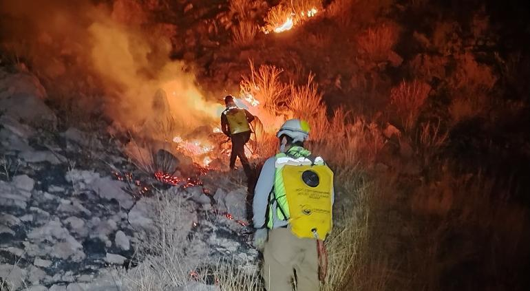 Sofocan al 100% segundo incendio en Sierra del Mogote