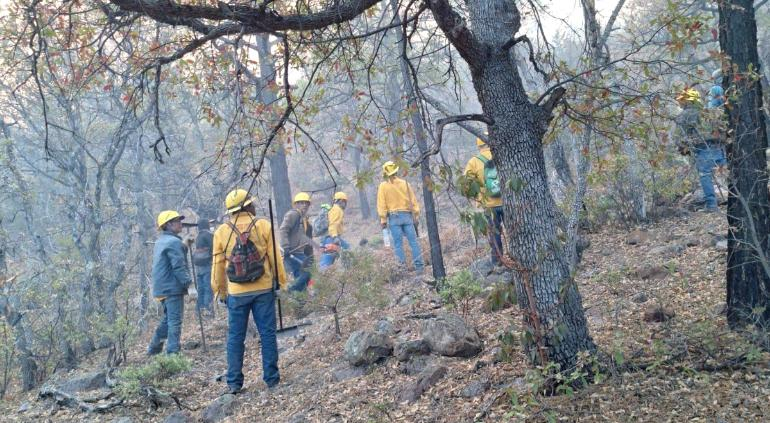 Liquidaron gran incendio en Guazapares; reportan otros 16
