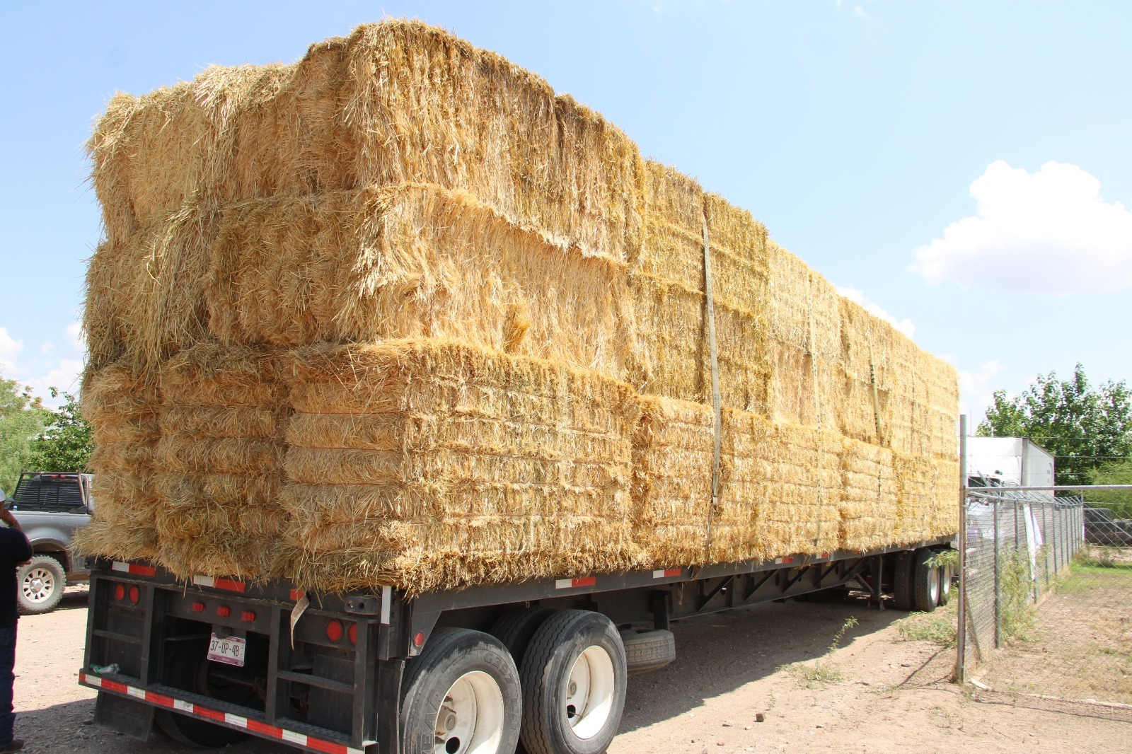 Apoyan con 150 mil pacas de rastrojo a más de 10 mil productores ante efectos de la sequía