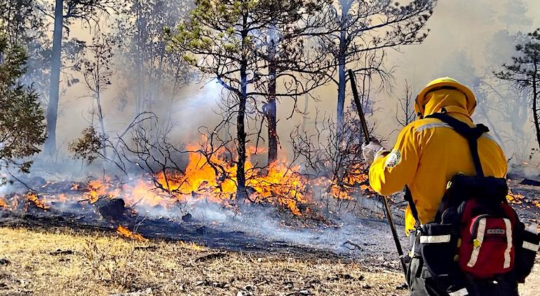 Combaten 393 incendios forestales en el estado; suman 14